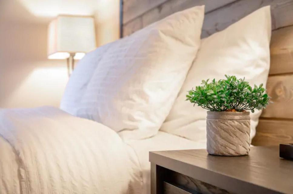 Modern Westshore Apartment Tampa Zewnętrze zdjęcie