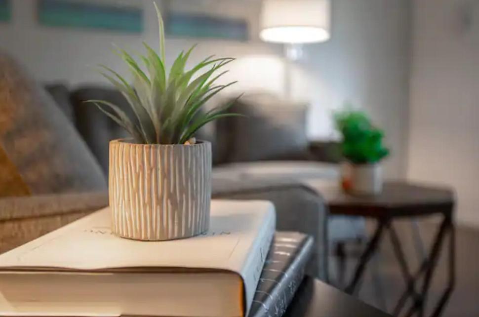 Modern Westshore Apartment Tampa Zewnętrze zdjęcie